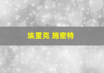 埃里克 施密特